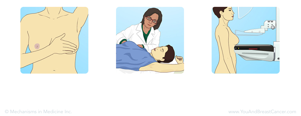 Breast Cancer Exam Process